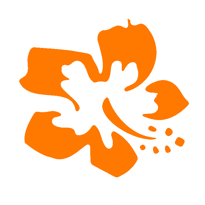 Logo A.S.D. Team Hibiscus